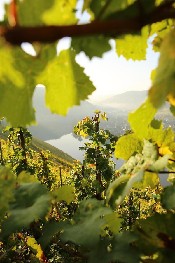 Wein Und Gaestehaus Huels Kröv Екстериор снимка